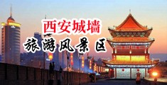 国产逼中国陕西-西安城墙旅游风景区